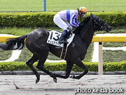 カラープリント(アルミ枠なし)2015年5月23日東京1R 3歳未勝利(オンユアマーク)