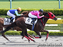 カラープリント(アルミ枠付き)2015年5月23日東京7R 4歳上500万下(アサクサスターズ)