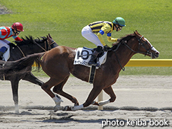 カラープリント(アルミ枠なし)2015年5月23日新潟3R 3歳未勝利(オーサムレジェンド)