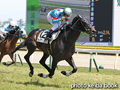 カラープリント(アルミ枠なし)2015年5月23日新潟6R 3歳未勝利(キッスアフィニティ)