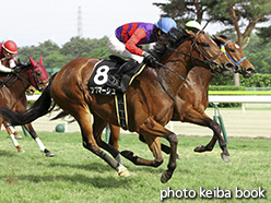 カラープリント(アルミ枠付き)2015年5月23日新潟11R 大日岳特別(アブマーシュ)