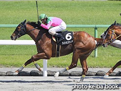 カラープリント(アルミ枠付き)2015年5月24日京都10R 鳳雛ステークス(ライドオンウインド)