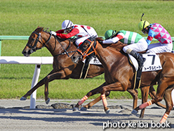 カラーパネル2015年5月24日京都12R 4歳上1000万下(サウンドアドバイス)