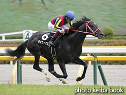 カラープリント(アルミ枠付き)2015年5月24日東京10R フリーウェイステークス(ネオウィズダム)