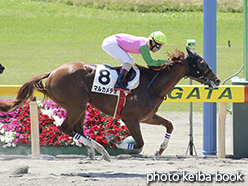 カラープリント(アルミ枠なし)2015年5月24日新潟1R 3歳未勝利(マルカメテオ)