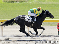 カラープリント(アルミ枠付き)2015年5月24日新潟3R 3歳未勝利(サトノメダリスト)