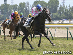 カラープリント(アルミ枠なし)2015年5月24日新潟4R 障害未勝利(カッパドキア)