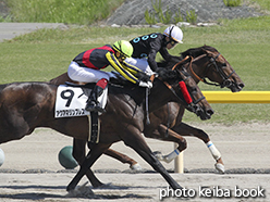 カラープリント(アルミ枠付き)2015年5月24日新潟9R 4歳上500万下(フェンガリ)