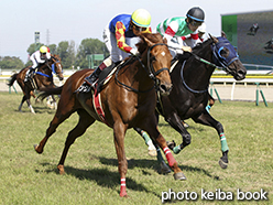 カラープリント(アルミ枠付き)2015年5月24日新潟10R 荒川峡特別(トゥインクル)