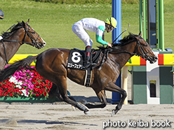 カラープリント(アルミ枠なし)2015年5月24日新潟12R 白馬岳特別(エリーフェアリー)