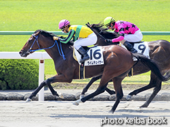 カラープリント(アルミ枠なし)2015年5月30日京都1R 3歳未勝利(ライムチェイサー)