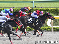 カラープリント(アルミ枠なし)2015年5月30日東京10R 薫風ステークス(シンキングマシーン)