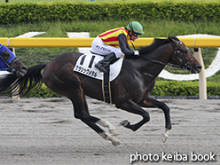 カラープリント(アルミ枠なし)2015年5月30日東京12R 4歳上1000万下(クラシックメタル)