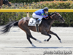 カラープリント(アルミ枠付き)2015年5月31日東京1R 3歳未勝利(デストリーライズ)