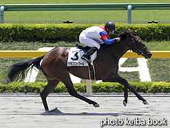 カラーパネル2015年5月31日東京4R 3歳500万下(グラスエトワール)