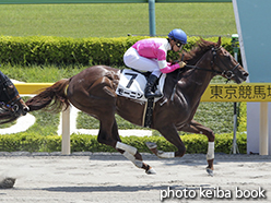 カラーパネル2015年5月31日東京5R 3歳500万下(モーニン)