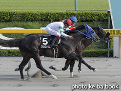 カラープリント(アルミ枠なし)2015年5月31日東京11R 富嶽賞(ジェネシスロック)