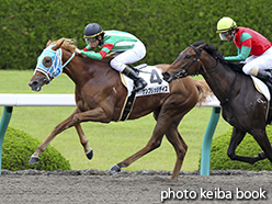 カラーパネル2015年6月6日阪神3R 3歳未勝利(ケンブリッジデイズ)