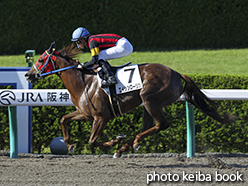 カラープリント(アルミ枠なし)2015年6月6日阪神12R 3歳上500万下(エイシンローリン)