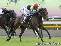 カラープリント(アルミ枠付き)2015年6月6日東京10R 稲村ヶ崎特別(マローブルー)