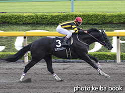 カラープリント(アルミ枠なし)2015年6月6日東京11R ヴィクトリアRC賞(シンゼンレンジャー)