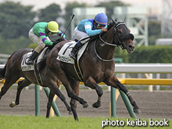 カラーパネル2015年6月6日東京12R 3歳上500万下(マンゴジェリー)