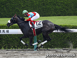 カラープリント(アルミ枠付き)2015年6月13日阪神1R 3歳未勝利(クライミングローズ)