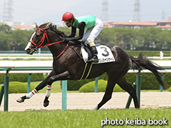 カラープリント(アルミ枠付き)2015年6月13日阪神5R 2歳新馬(クリノシャンボール)