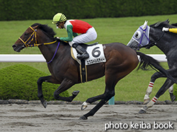 カラーパネル2015年6月13日阪神8R 3歳上500万下(エクストレミティー)