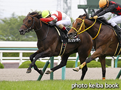 カラーパネル2015年6月13日阪神10R 舞子特別(ダノンシーザー)