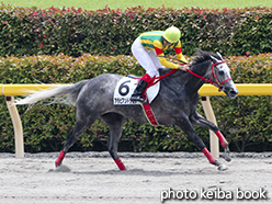 カラープリント(アルミ枠付き)2015年6月13日東京4R 障害未勝利(アラビアンドラゴン)