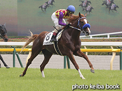 カラープリント(アルミ枠なし)2015年6月13日東京5R 2歳新馬(トウショウドラフタ)