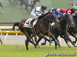 カラープリント(アルミ枠付き)2015年6月13日東京6R 3歳未勝利(プラトンイミシャン)