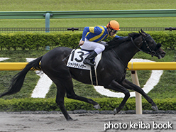 カラーパネル2015年6月13日東京7R 3歳上500万下(シャドウチェイサー)