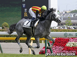 カラーパネル2015年6月13日東京8R 3歳上500万下(ポトマックリバー)