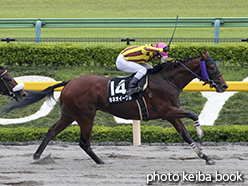 カラーパネル2015年6月13日東京9R 八王子特別(キネオイーグル)