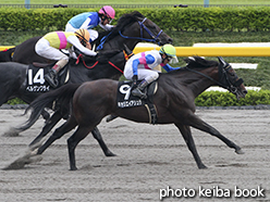 カラープリント(アルミ枠なし)2015年6月13日東京11R アハルテケステークス(キョウエイアシュラ)