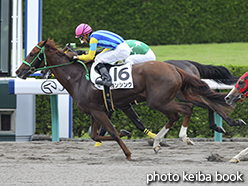 カラーパネル2015年6月14日阪神1R 3歳未勝利(ダンシング)