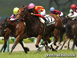 カラープリント(アルミ枠付き)2015年6月14日阪神8R 3歳上500万下(メラグラーナ)