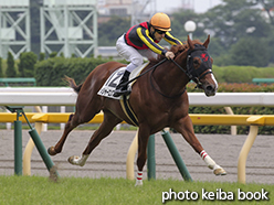 カラープリント(アルミ枠付き)2015年6月14日東京5R 2歳新馬(メジャーエンブレム)