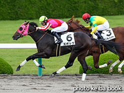 カラープリント(アルミ枠付き)2015年6月20日阪神5R 2歳新馬(エポック)