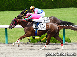 カラープリント(アルミ枠なし)2015年6月20日阪神7R 3歳上500万下(パーティードレス)