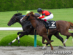 カラープリント(アルミ枠なし)2015年6月20日阪神9R 鷹取特別(カラパナビーチ)