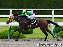 カラープリント(アルミ枠付き)2015年6月20日阪神11R 天保山ステークス(タガノトネール)