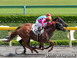 カラーパネル2015年6月20日東京8R 3歳上500万下(ハッピーベリンダ)