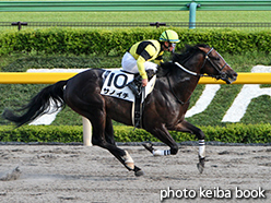 カラープリント(アルミ枠付き)2015年6月20日東京12R 3歳上500万下(サノイチ)