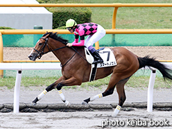 カラープリント(アルミ枠付き)2015年6月20日函館1R 3歳未勝利(スマートノエル)