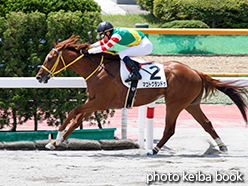 カラープリント(アルミ枠付き)2015年6月20日函館4R 3歳未勝利(マコトグランドゥ)