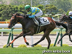 カラープリント(アルミ枠なし)2015年6月20日函館5R 2歳新馬(アルマククナ)