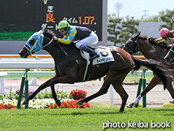 カラープリント(アルミ枠なし)2015年6月20日函館8R 3歳上500万下(ダイヤモンドハイ)